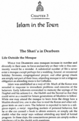 Islam in the Town